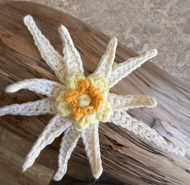 Edelweiss Flower
