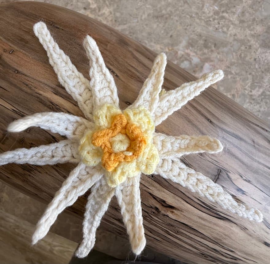Edelweiss Flower