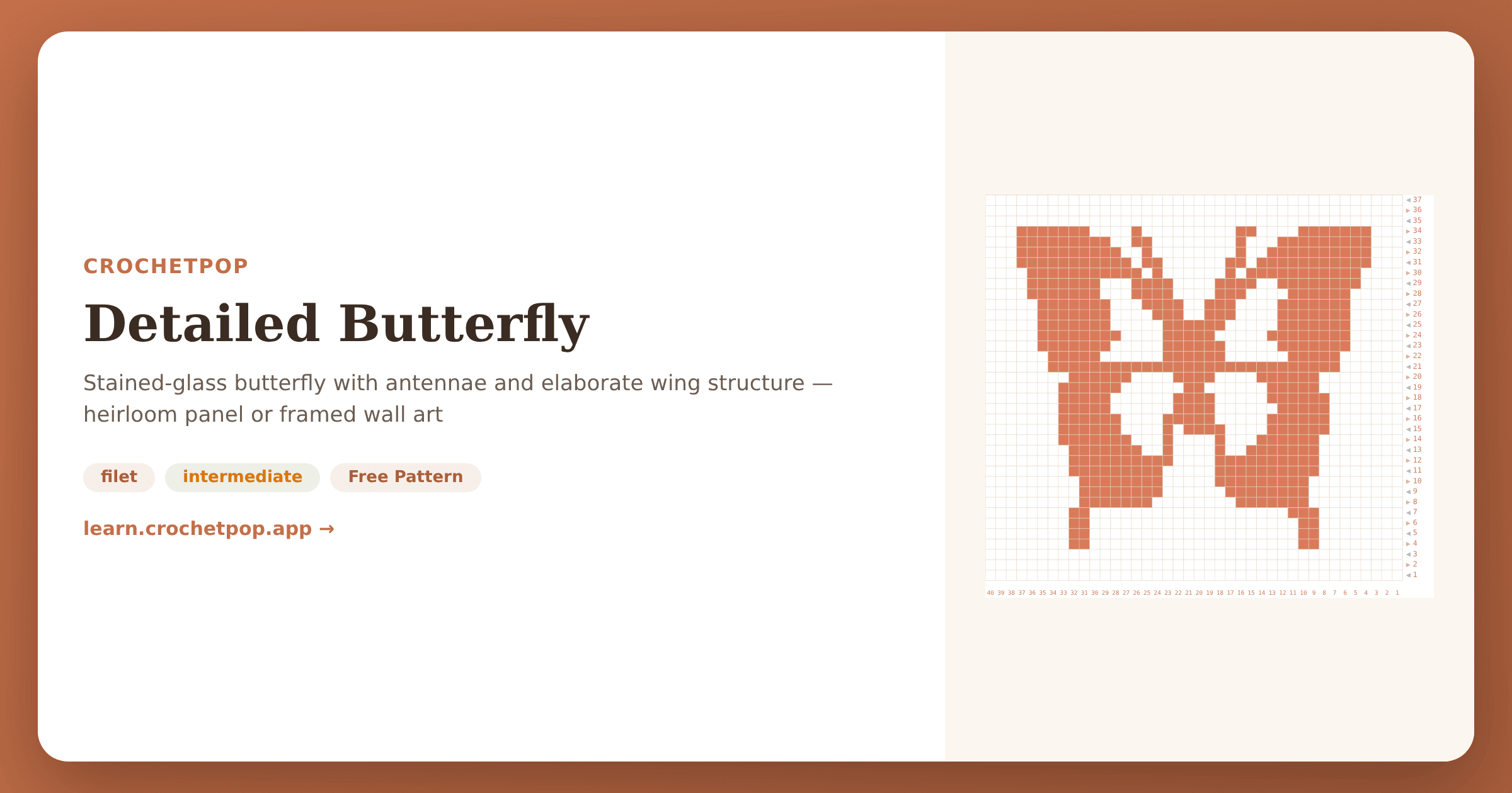 Detailed Butterfly