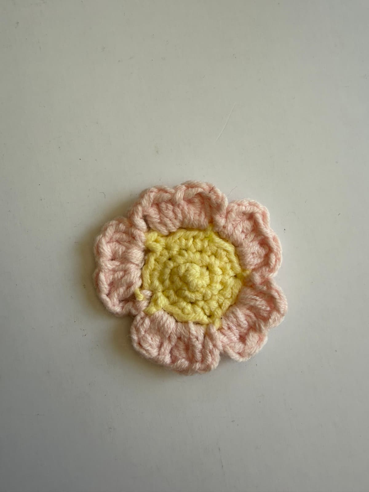 Wild Rose Flower