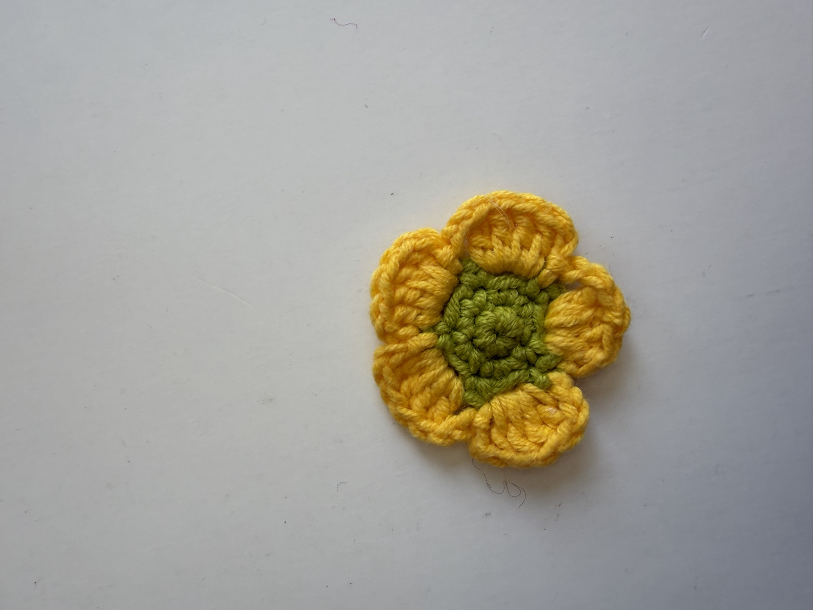 Buttercup Flower