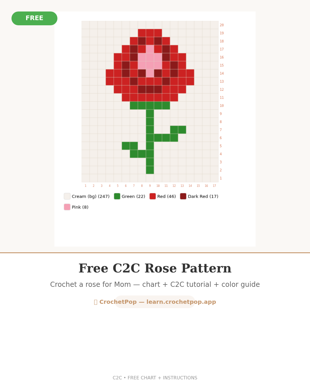 Composición estilizada del panel de rosa C2C — rosa roja terminada con tallo verde sobre fondo crema, presentada como pin de Pinterest